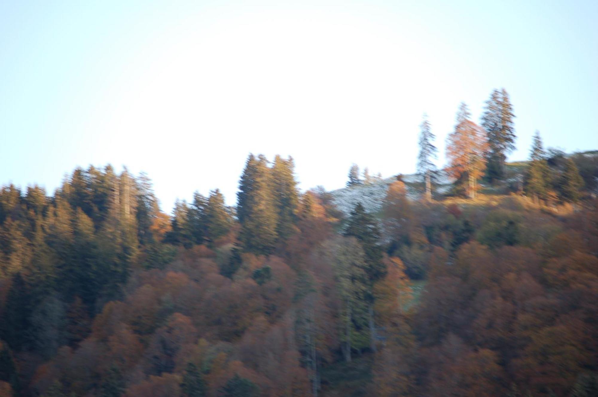 Gasthaus Schaefli Alt St. Johann Bagian luar foto