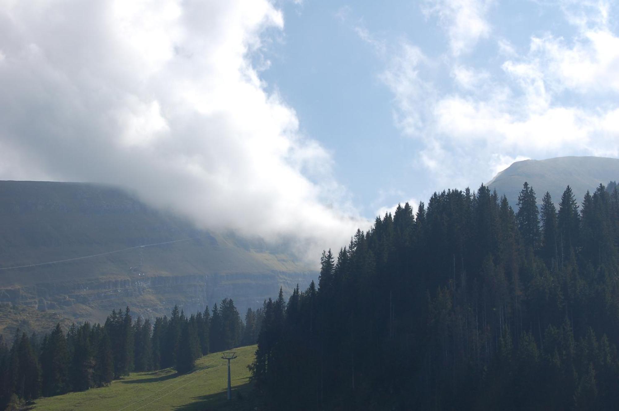 Gasthaus Schaefli Alt St. Johann Bagian luar foto